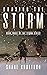 Chasing the Storm (Storm #3)