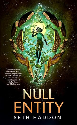 Null Entity (The Volatile Memory Duology, #2)