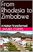 From Rhodesia to Zimbabwe: ...