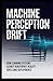 MACHINE PERCEPTION DRIFT: How learning systems slowly reinterpret reality over long deployments