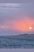 Kestrel at sunset and other poems by Anthony McSherry
