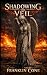Shadowing the Veil by Franklin Cone