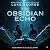 Obsidian Echo (The Voss Dir...