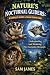 NATURE'S NOCTURNAL GLIDERS:...