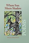 Where Sun Meets Shadow by Felicity Sidnell Reid Where Sun Meets Shadow by Felicity Sidnell Reid