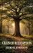 Grain of Redemption by Judd R Johnson