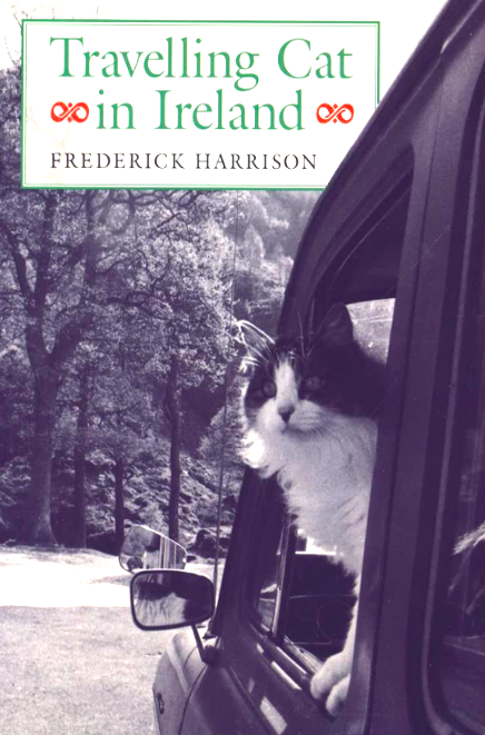 Travelling Cat in Ireland