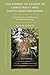 The Symbol of Ascent: Human Longing and the Quest for Transcendence (Explorations in Philosophy and Theology)