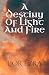 A Destiny of Light and Fire by Lyndsey Eron A Destiny of Light and Fire by Lyndsey Eron
