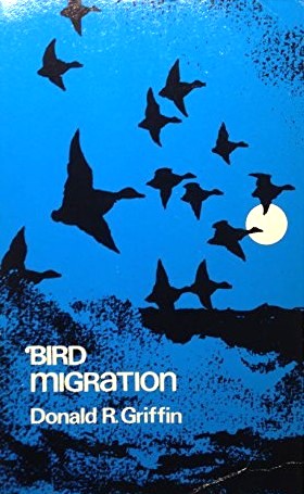 Bird Migration