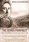 The Junius Pamphlet: Rosa Luxemburg's Warning About Endless Wars
