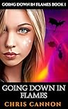 Going Down In Flames: Book 1 of 5: Going Down In Flames Series