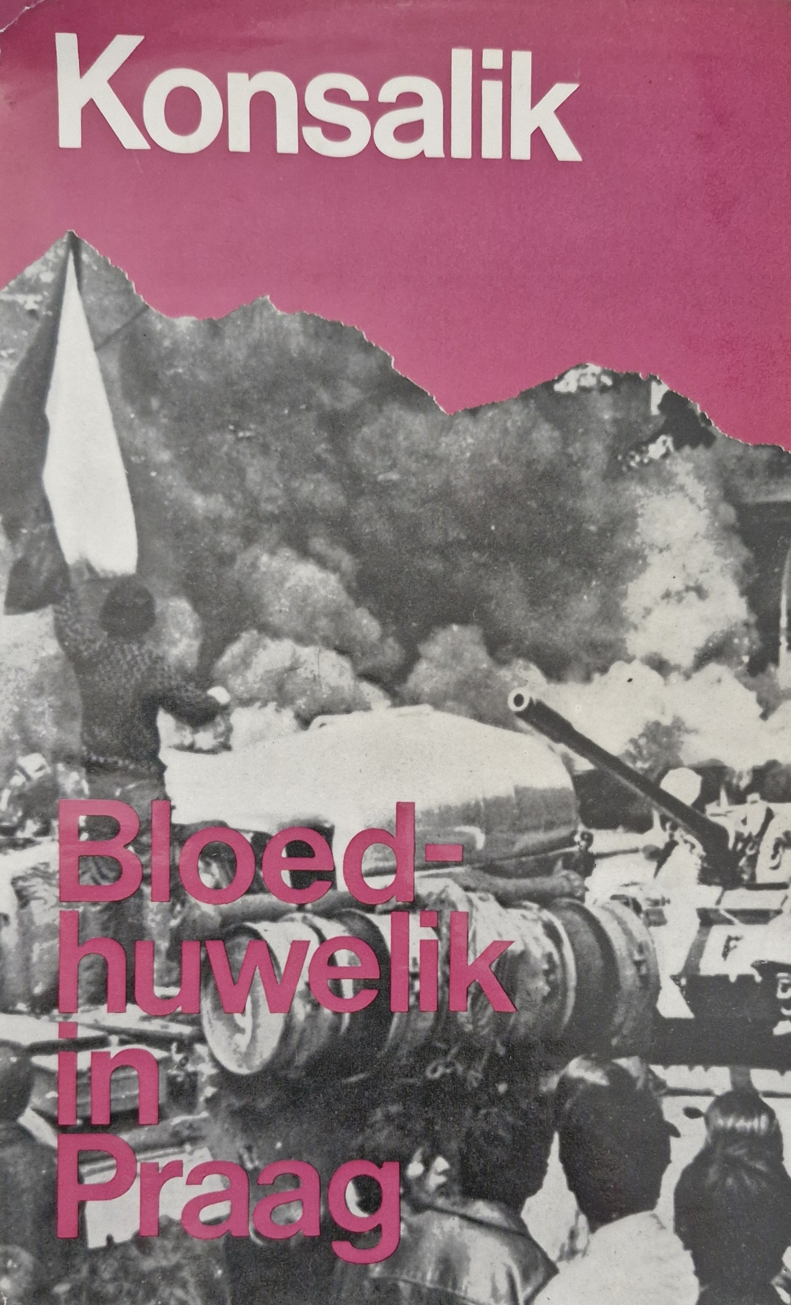 Bloedhuwelik in Praag (Hardcover)