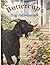 Buttercup's Big Adventure by Julie Bock