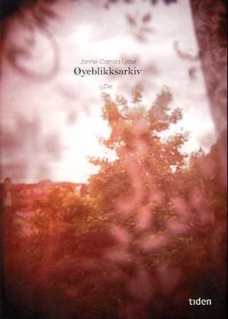 Øyeblikksarkiv