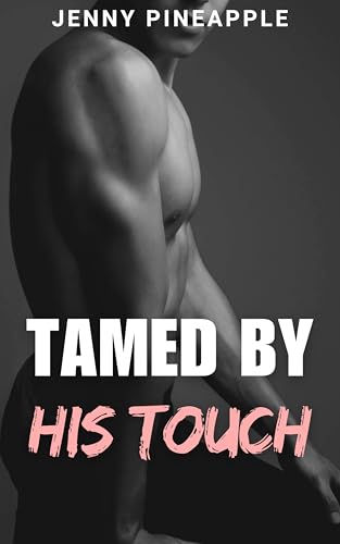 Tamed by His Touch: MM Spicy Romance Novella (The Red Corner Book 2)