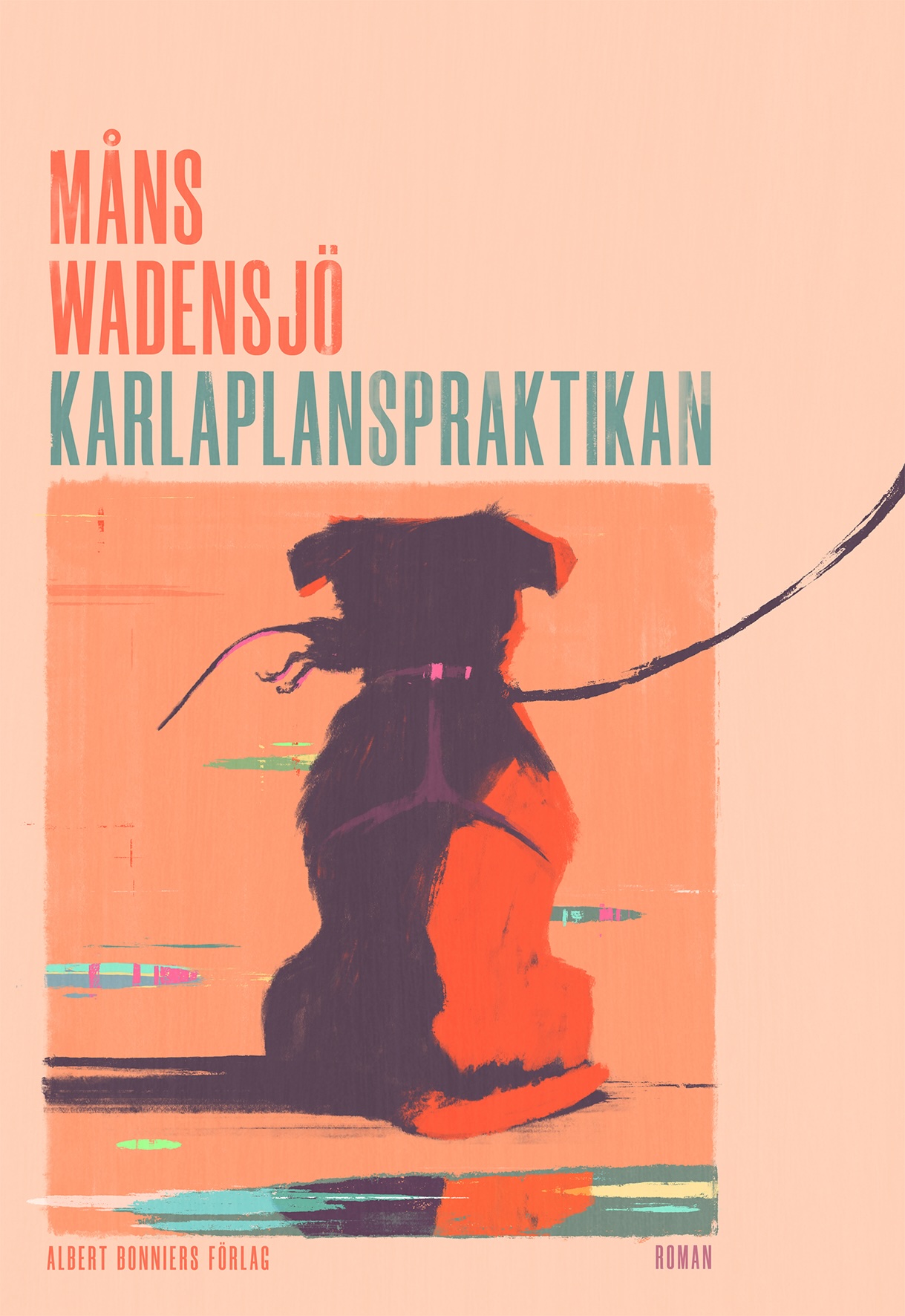 Karlaplanspraktikan (Hardcover)