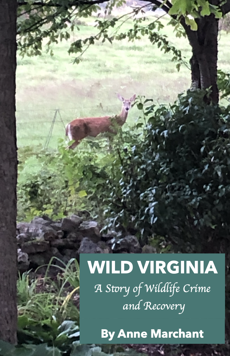 Wild Virginia (Paperback)