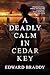 A Deadly Calm in Cedar Key: A Hurricane-Swept Gulf Coast Thriller of Vengeance and Redemption