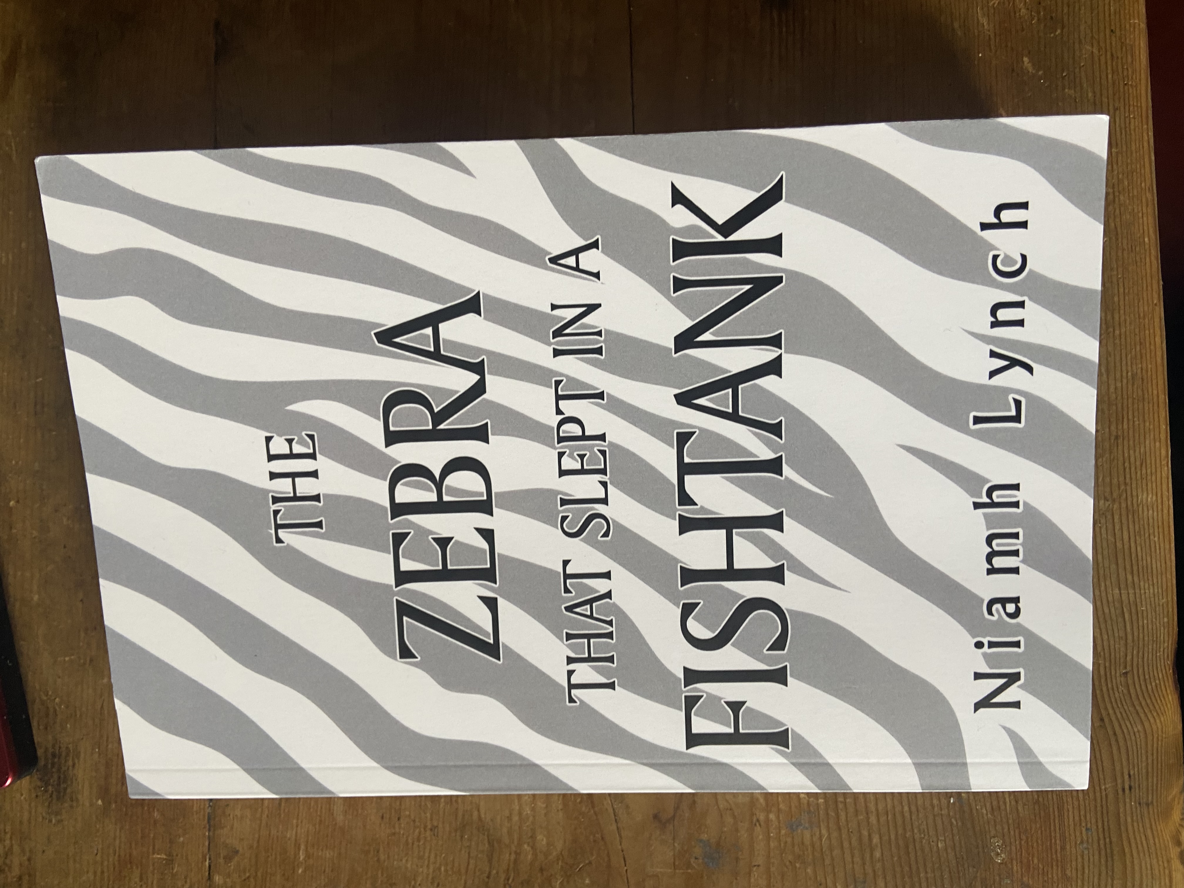 The Zebra That Slept In A Fishtank