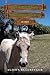 The Horses of Saddlers Ranc...