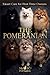 The Pomeranian by Pascal Haddad