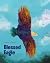 Blessed Eagle by James Piggott