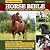 Original Horse Bible (2nd Edition) by Moira C. Reeve