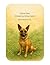 Cocco Has: A Joyful Early R...