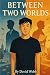 Between two worlds