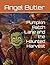Pumpkin Patch Lane and the ...