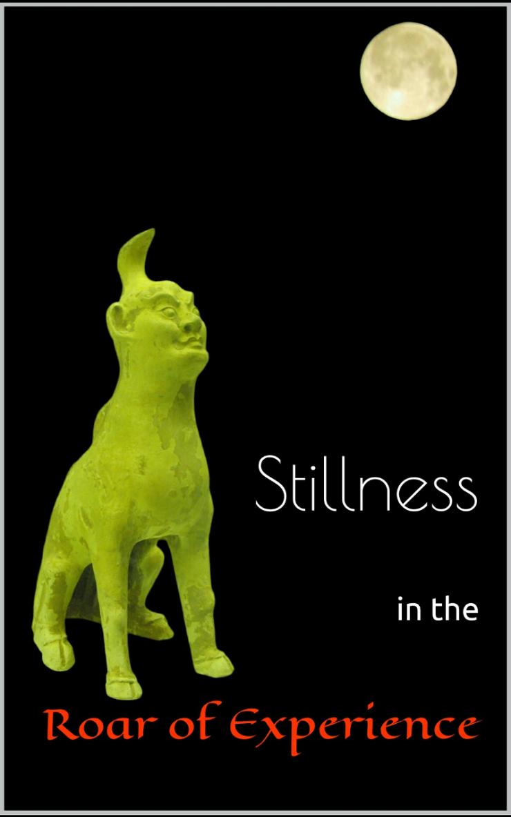 Stillness in the Roar of Experience: A Reflective Memoir