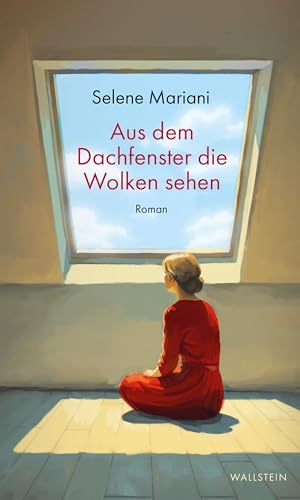 Aus dem Dachfenster die Wolken sehen: Roman (German Edition)
