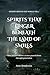 The spirits that linger ben...