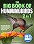 The Big Book of Hummingbird...