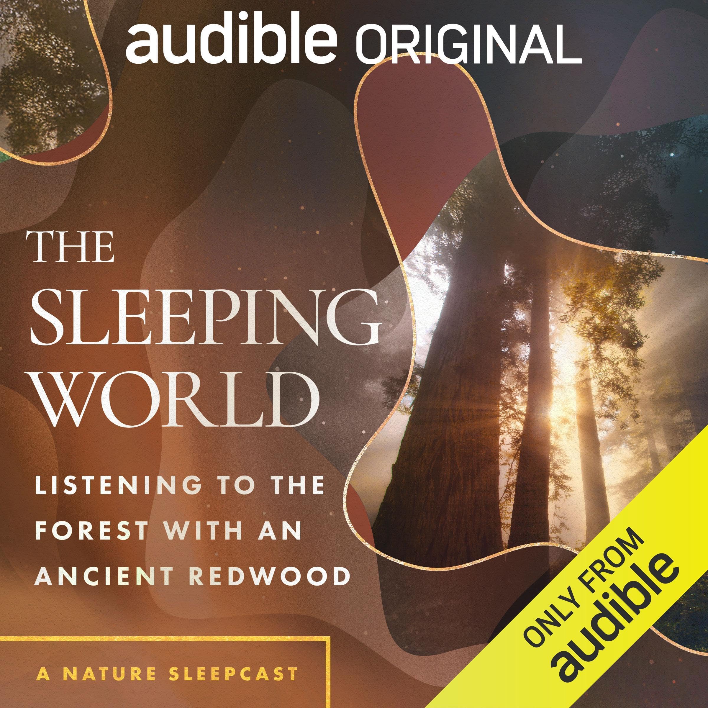 The Sleeping World: Listening to the Forest with an Ancient Redwood (Audible Audio)