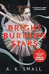 Book cover for Bright Burning Stars