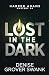Lost in the Dark (Harper Adams Mystery)