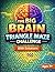 The Big Brain Triangle Maze...