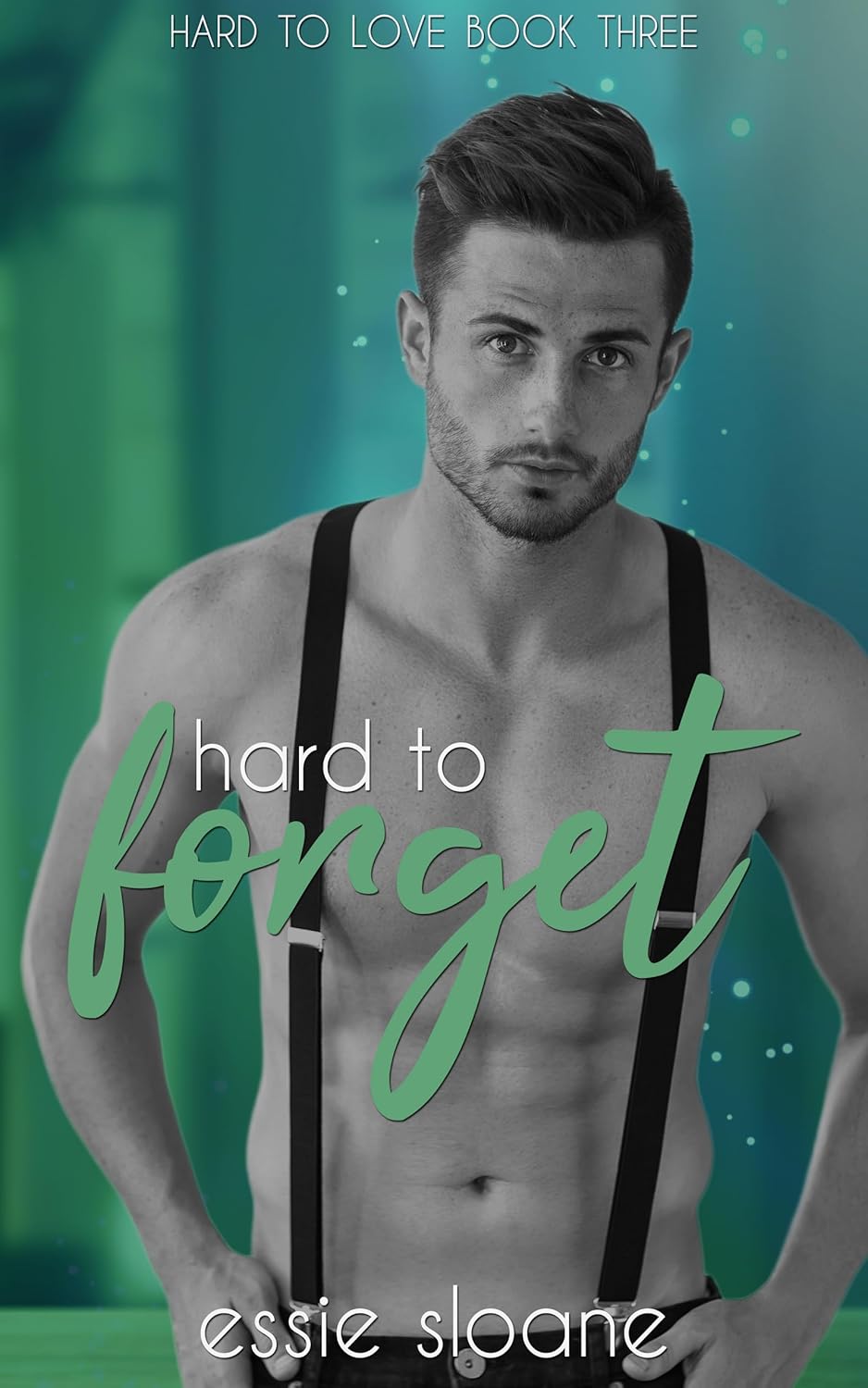 Hard to Forget (Hard to Love #3)