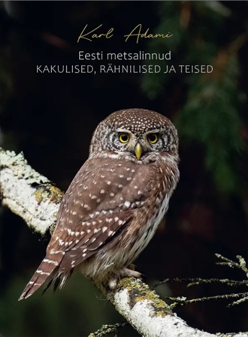 Eesti metsalinnud: Kakulised, rähnilised ja teised