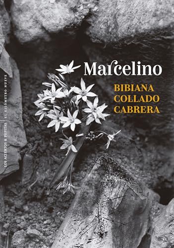 Marcelino: Decires de un hombre (Ficción nº 88) (Spanish Edition)