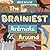 The Brainiest Animals Around