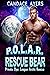 Rescue Bear (P.O.L.A.R., #2)
