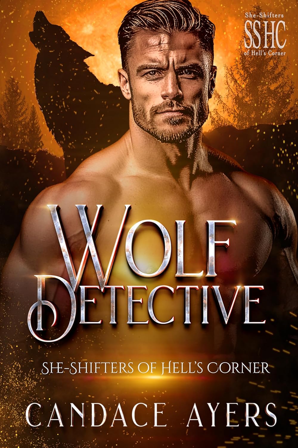 Wolf Detective (She-Shifters of Hell's Corner, #2)