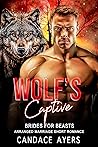 Wolf's Captive