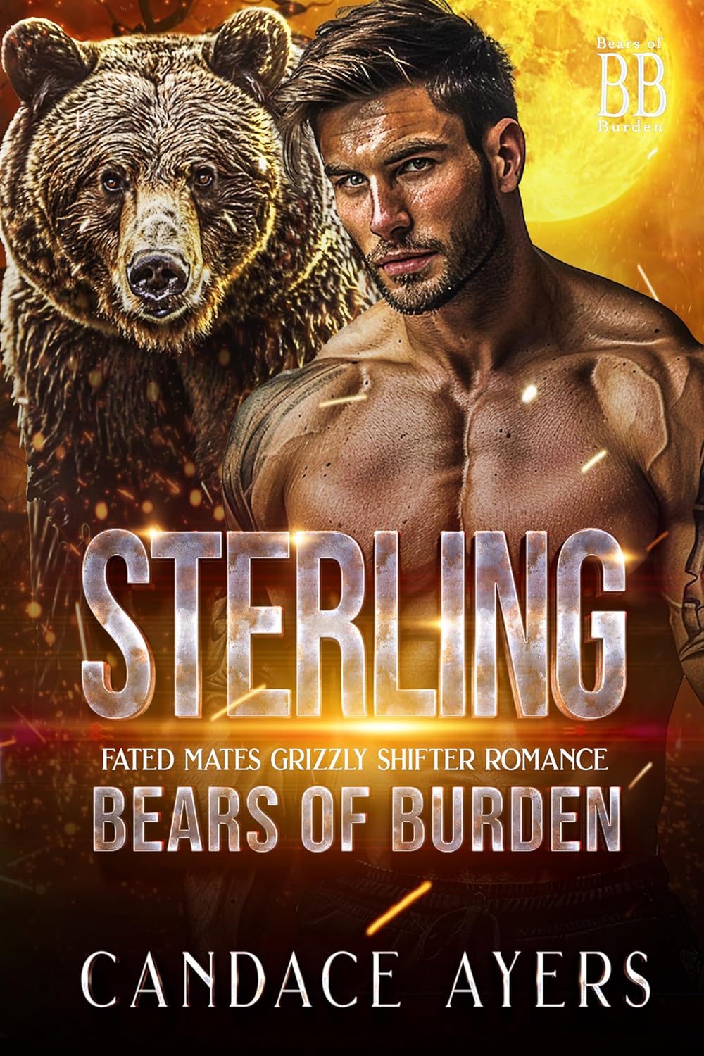 Sterling (Bears of Burden, #4)