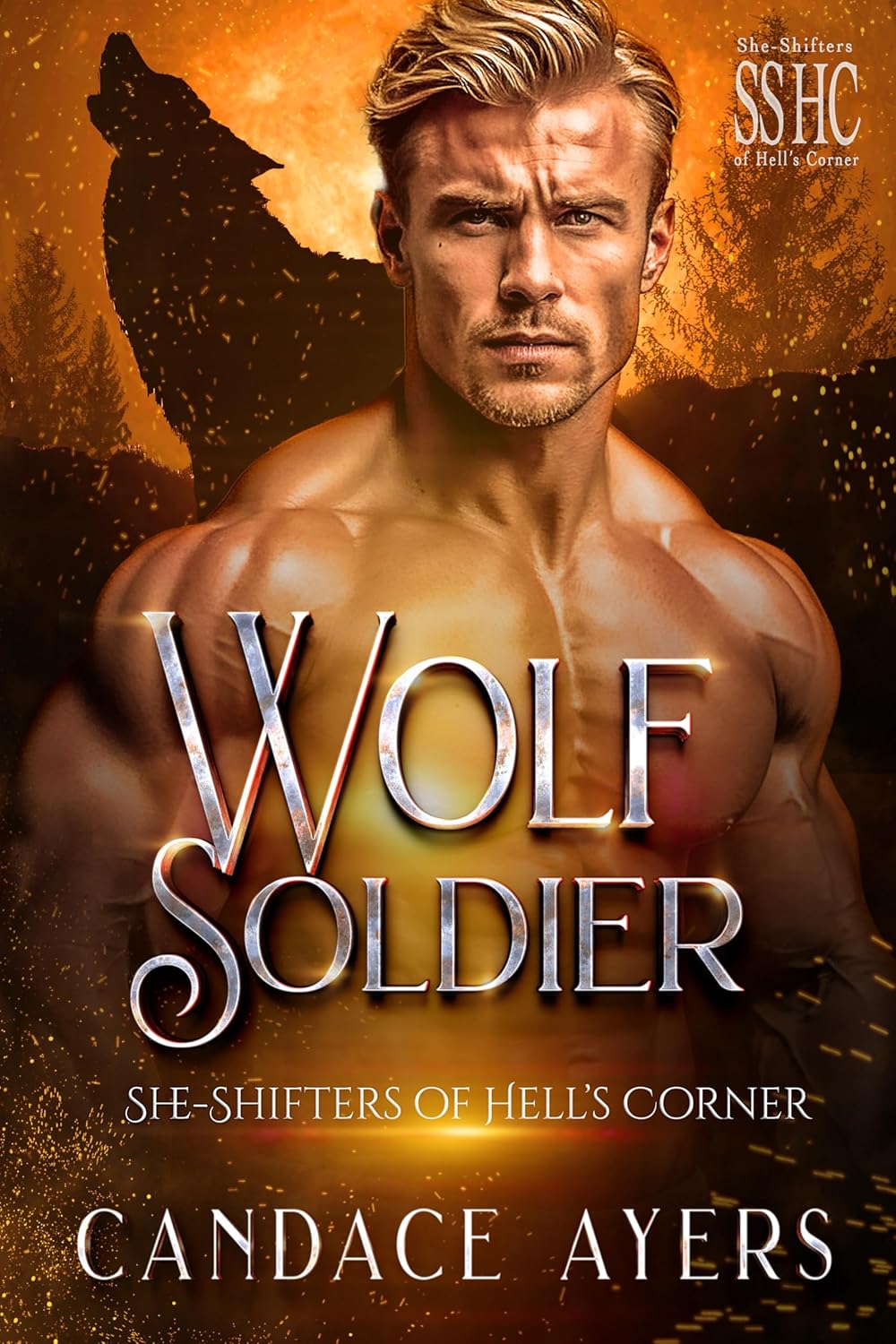 Wolf Soldier (She-Shifters of Hell's Corner, #3)