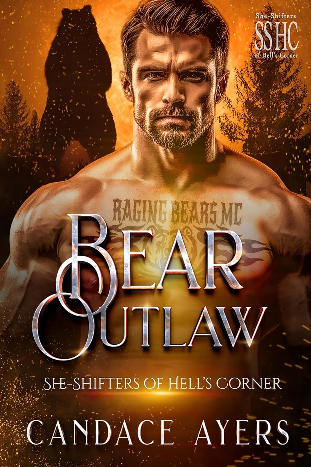 Bear Outlaw (She-Shifters of Hell's Corner, #4)