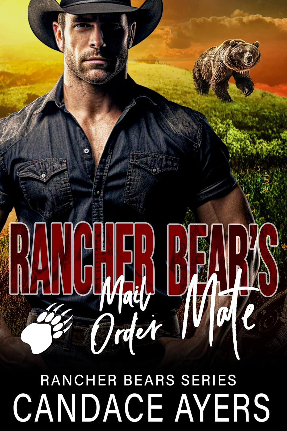 Rancher Bear's Mail Order Mate (Rancher Bears, #2)